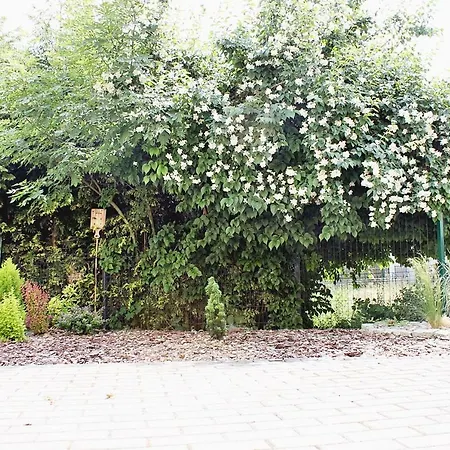 Apartbaltic - Komandorska 3e Apartment